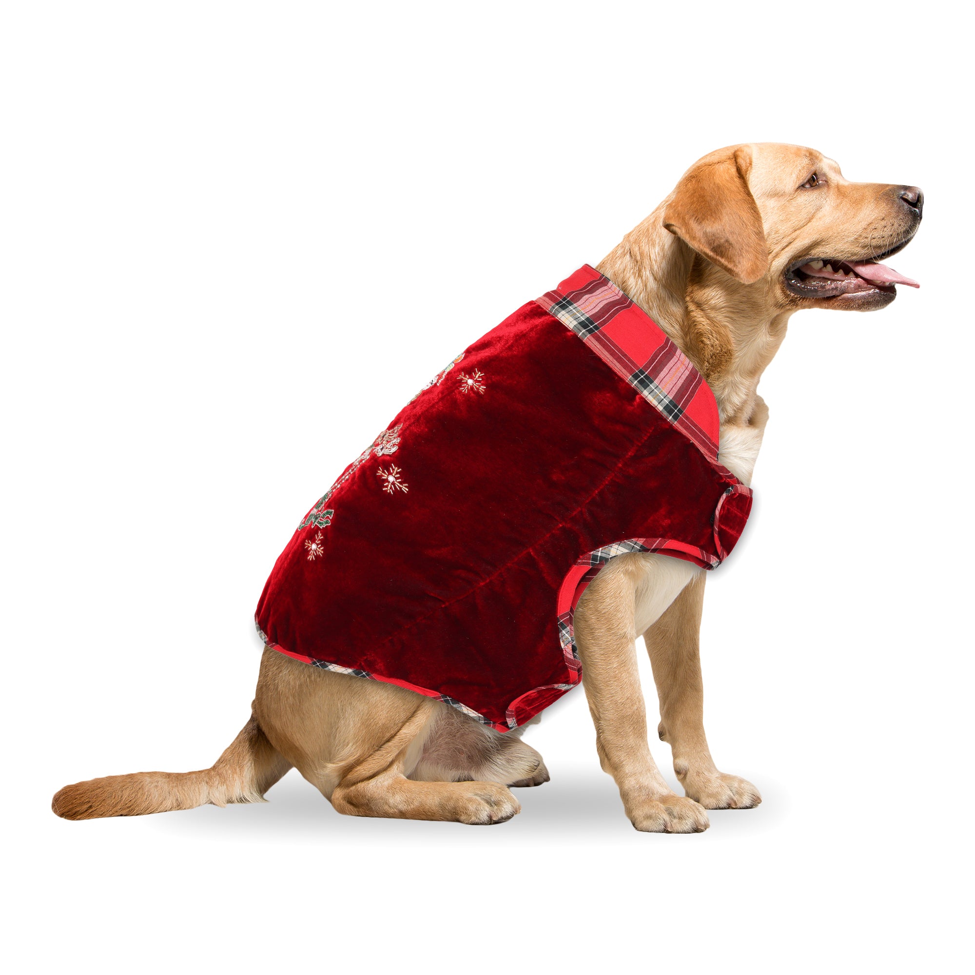 Red Christmas Dog jacket Embroided Velvet Dog jacket with Santa Reindeer Carriage